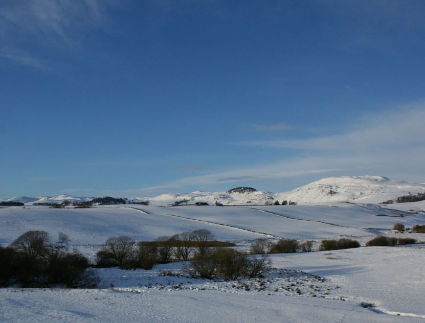 Weather in January