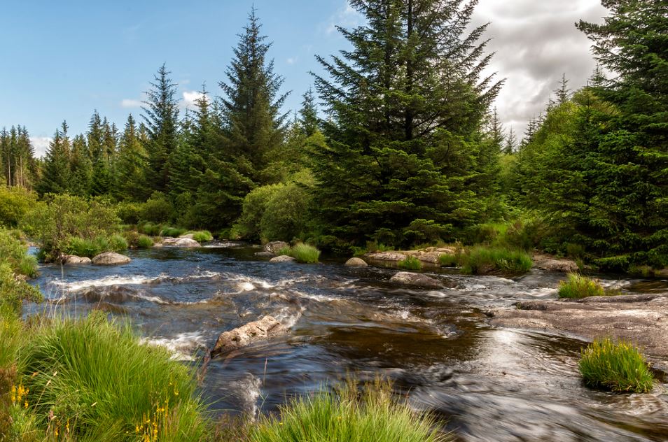 Dumfries and Galloway
