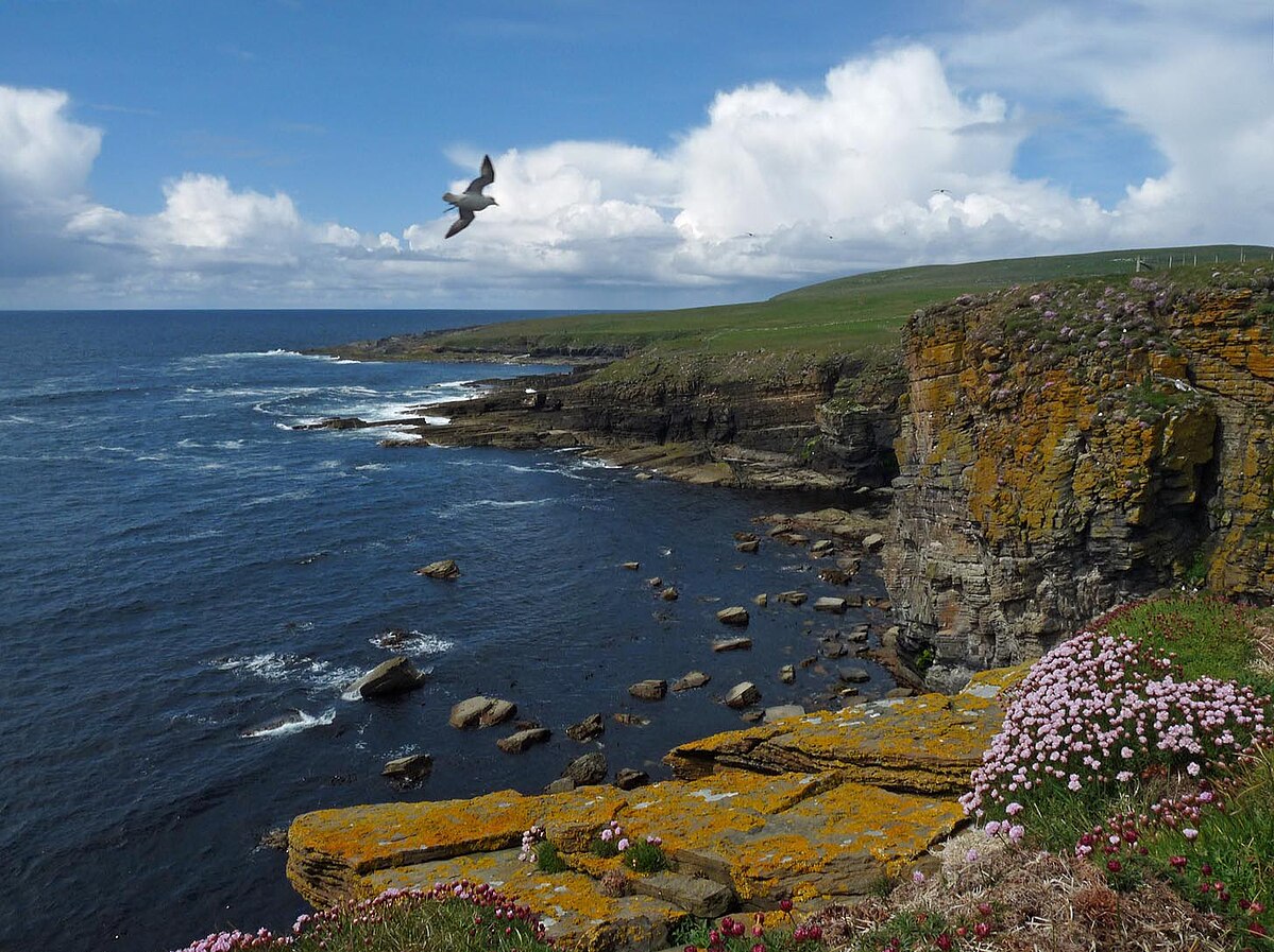 Walk along the Coastline